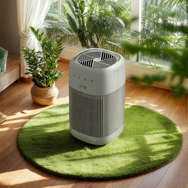 Gologi luchtontvochtiger en luchtreiniger - HEPA 13 Filter
