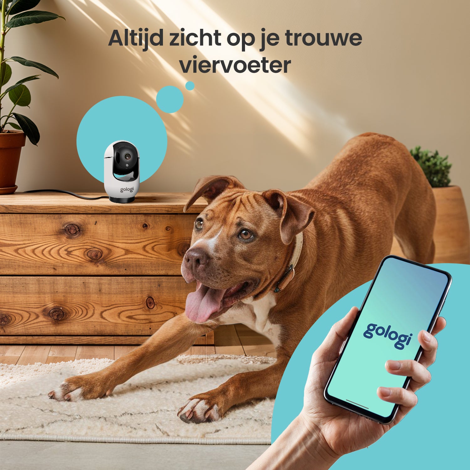 Gologi Huisdiercamera met App en wifi - Wit