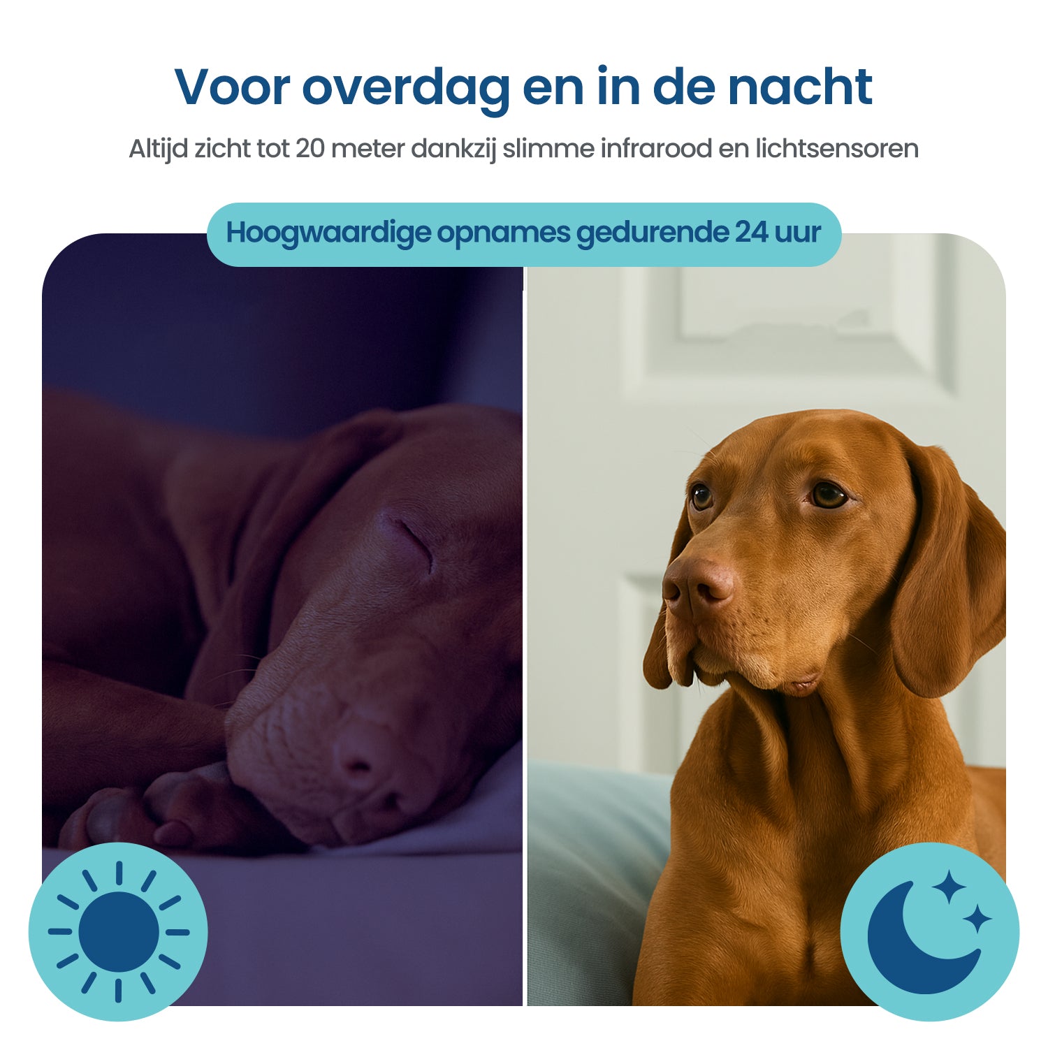Gologi Huisdiercamera met App en wifi - Wit