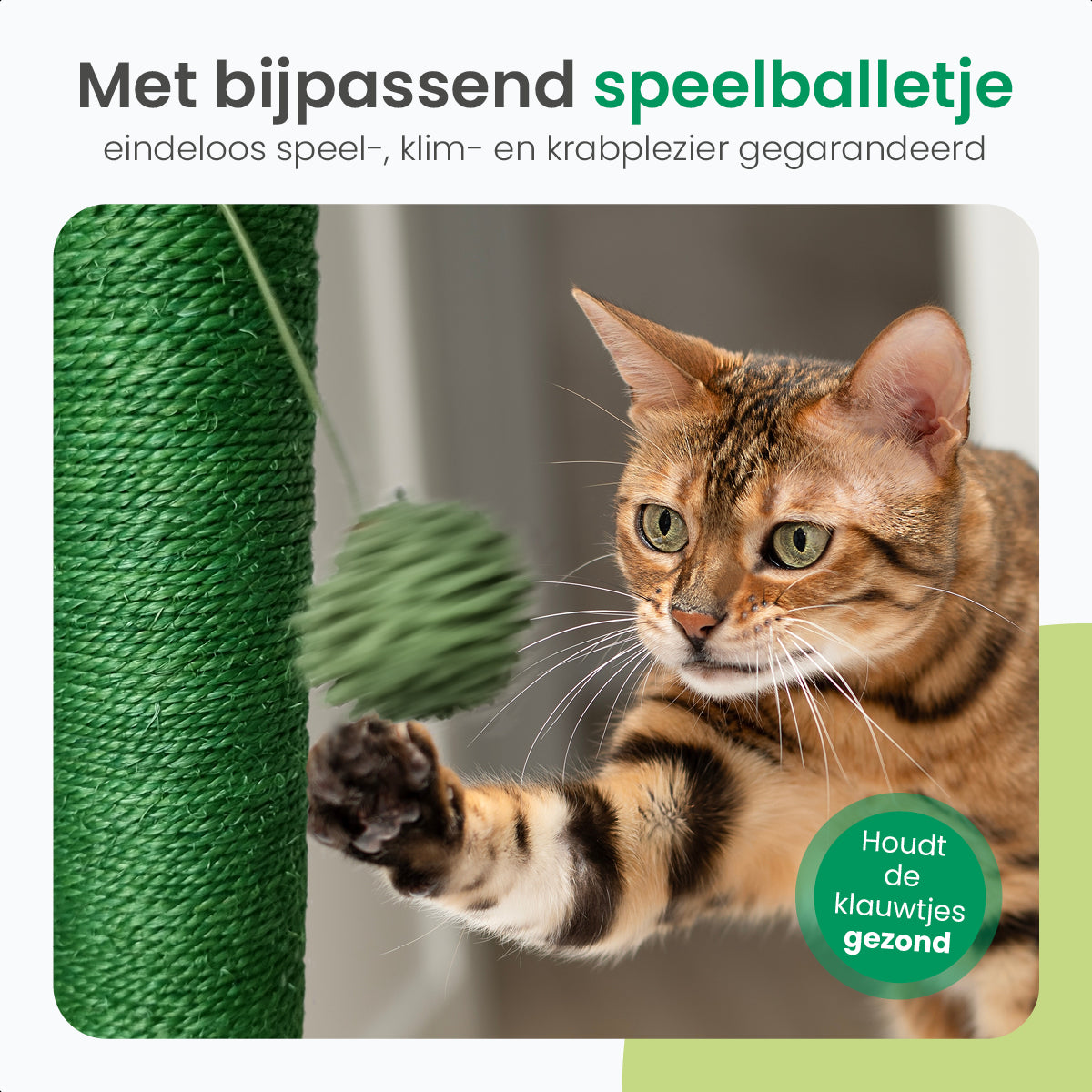 Gopets Krabpaal Katten - 65cm